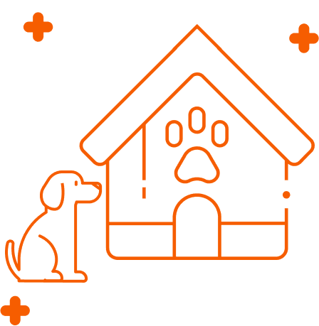 Dog Boarding